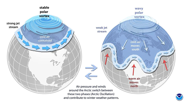 NOAA schematic comparing a strong tight Polar Vortex vs. a weakened wavy one that allows cold air to escape southward