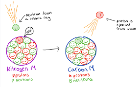 Schematic showing how cosmic rays create 14C in the upper atmosphere by converting 14N to 14C