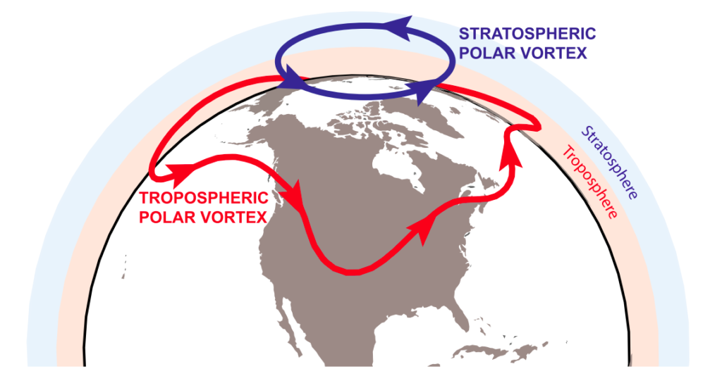 Diagram showing the tropospheric Polar jet stream (red) encircling the stratospheric Polar Vortex (blue) over the North Pole