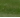 grass green color swatch