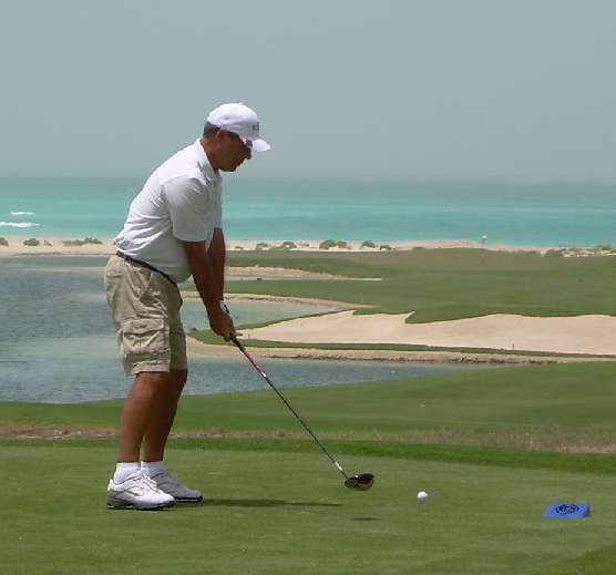 A golfer on a golf course — a typical digital image of about 1000x900 pixels