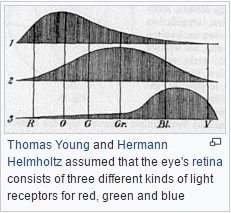 Young-Helmholtz 1850 sketch illustrating their trichromatic theory of color vision