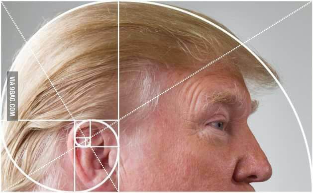 A humorous application of the Fibonacci spiral