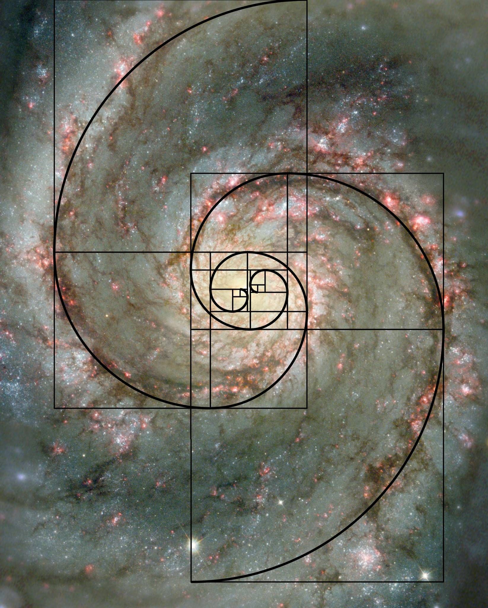 Spiral galaxy illustrating the Fibonacci sequence