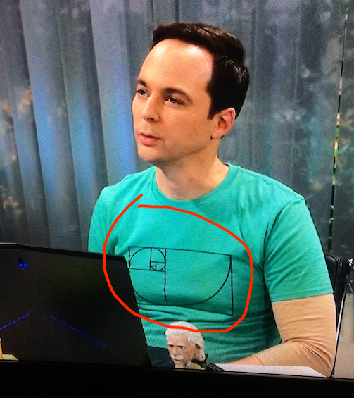 Sheldon from The Big Bang Theory wearing a shirt with the Fibonacci spiral