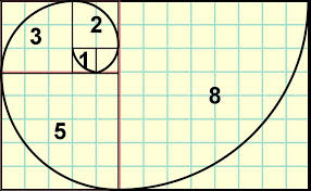 A Fibonacci spiral in nature